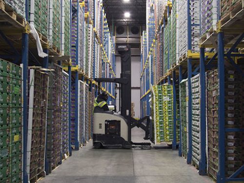 Manfredi-drive-with-forklift